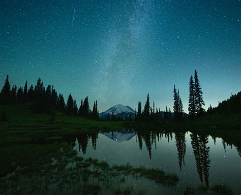 IN PHOTOS: .